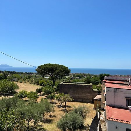 Villa Mazza Al Vesuvio トッレ・デル・グレコ エクステリア 写真
