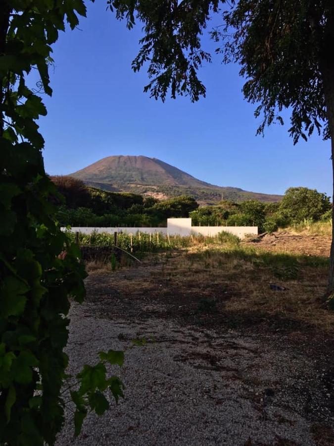 Villa Mazza Al Vesuvio トッレ・デル・グレコ エクステリア 写真